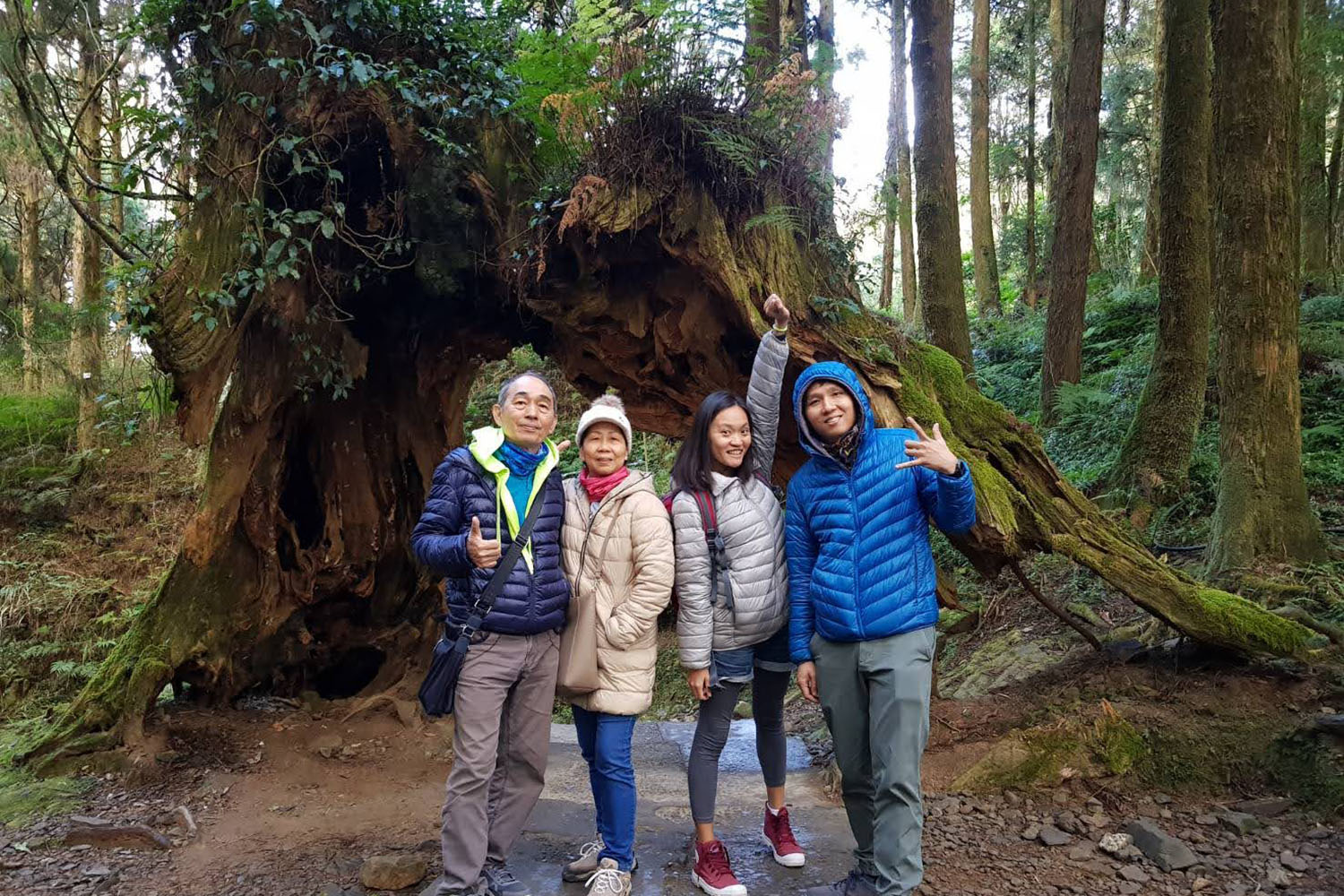 霧峰林家花園-雙龍瀑布七彩吊橋自由行接送專家｜機場到熱門景點安心接送－ 天地玩家包車
