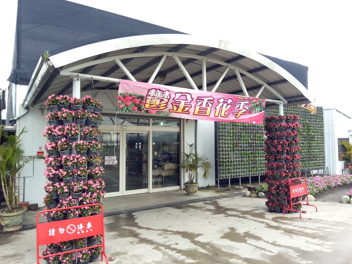 中社觀光花市