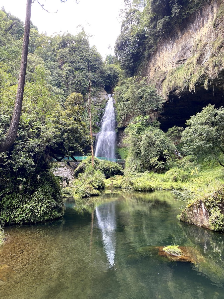 杉林溪森林生態園區
