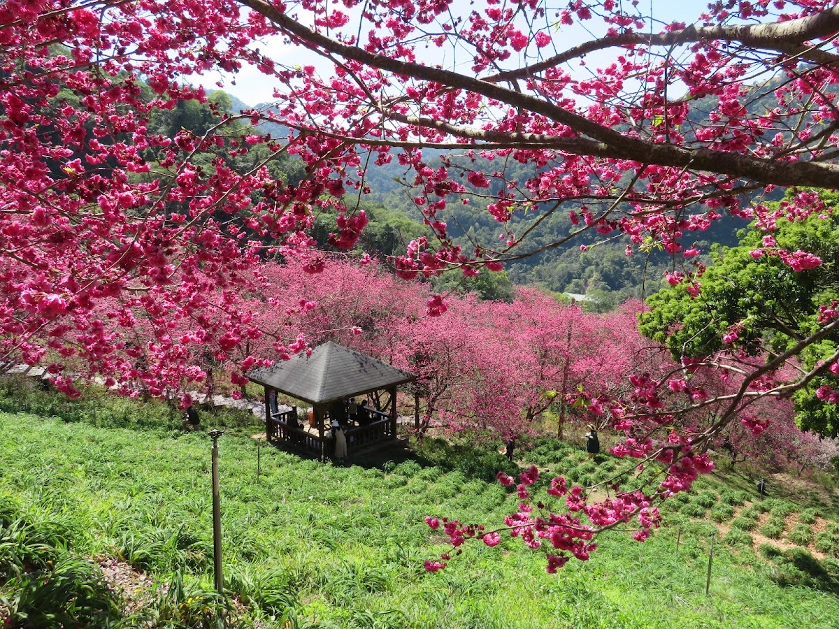 沐心泉休閒農場