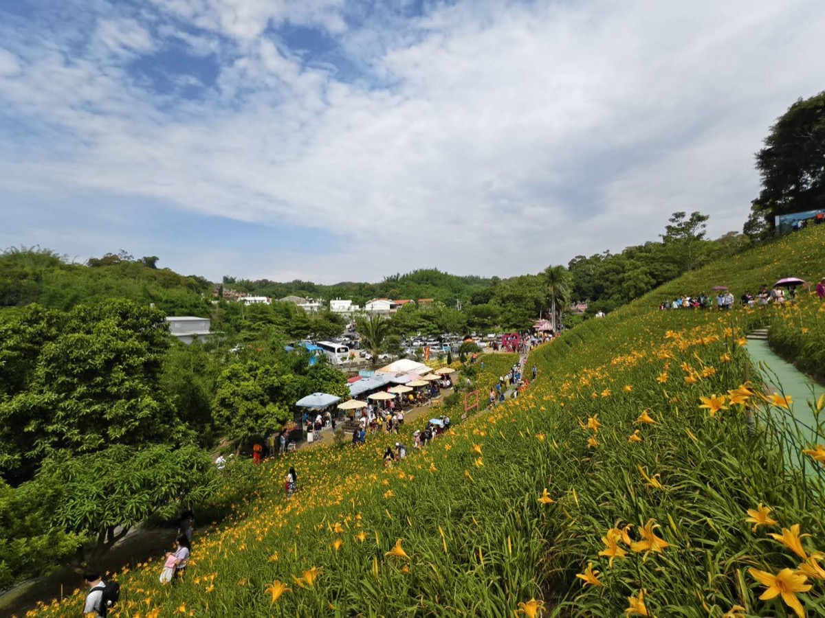 彰化花壇虎山巖金針花包車一日遊