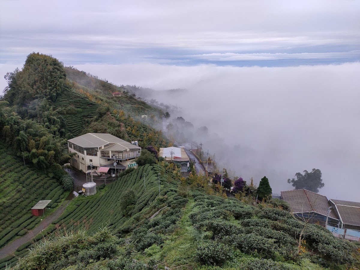 大崙山觀景台